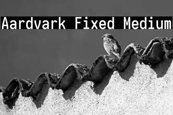 Aardvark Fixed Medium Font examples