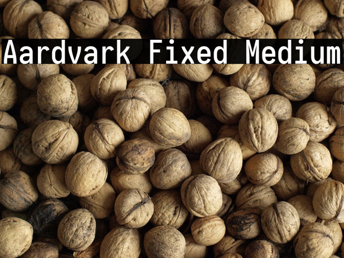 Aardvark Fixed Medium Example 2