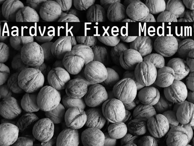 Aardvark Fixed Medium Font examples