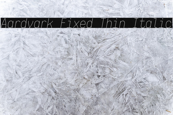 Aardvark Fixed Thin Italic Example 2