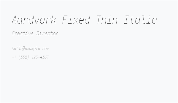 Aardvark Fixed Thin Italic Business Card