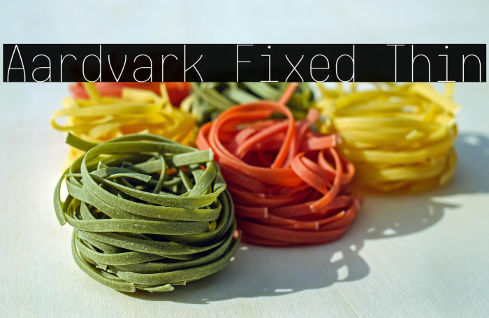 Aardvark Fixed Thin Example 1