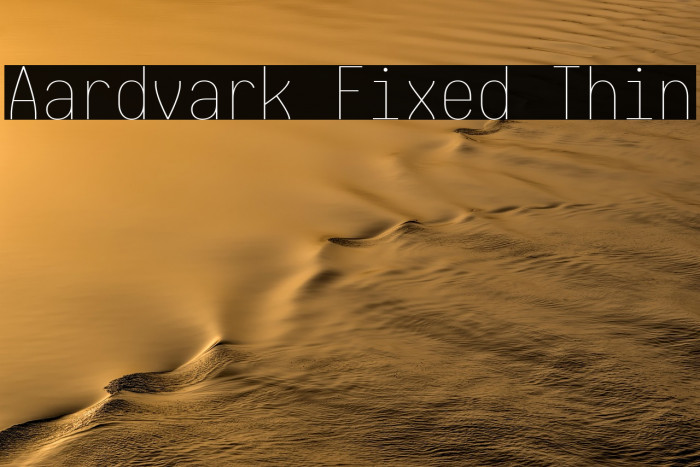 Aardvark Fixed Thin Example 3