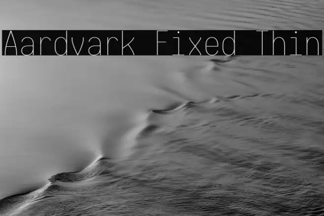 Aardvark Fixed Thin Font examples