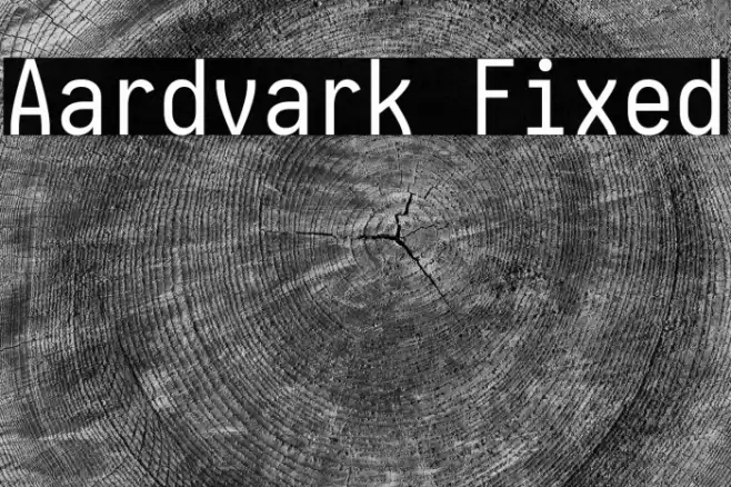 Aardvark Fixed Font examples