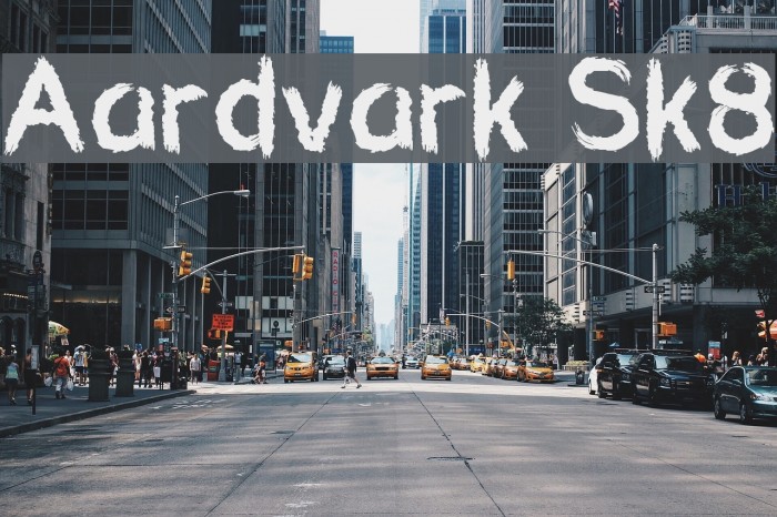 Aardvark Sk8 Font examples