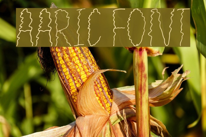 Aaric Font examples