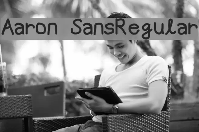 Aaron SansRegular Font examples