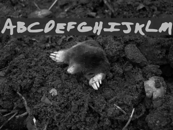 Aaron with a Marker Font examples