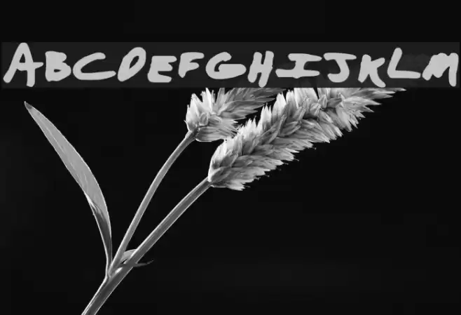 Aaron with a Marker Font examples