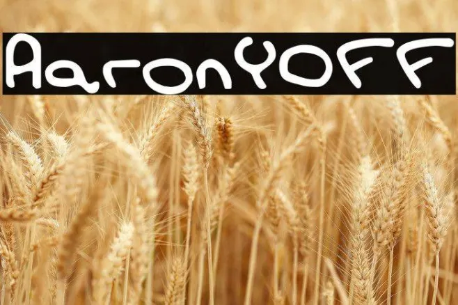 AaronYOFF Example 1