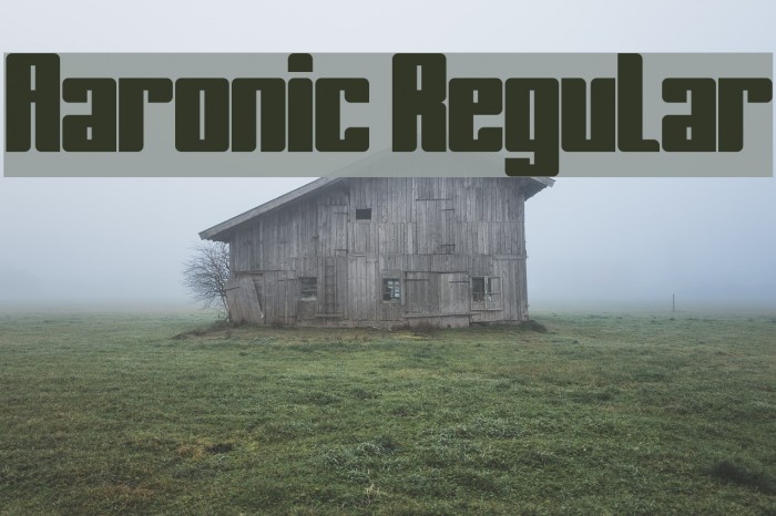 Aaronic Regular Fonte examples