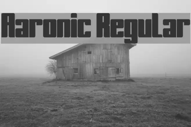 Aaronic Regular Fonte examples
