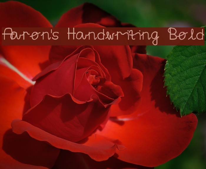 Aaron's Handwriting Bold Example 3