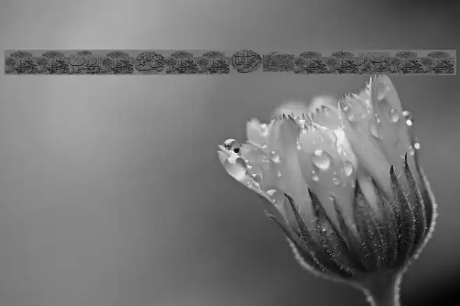 Aayat Quraan 9 Font examples