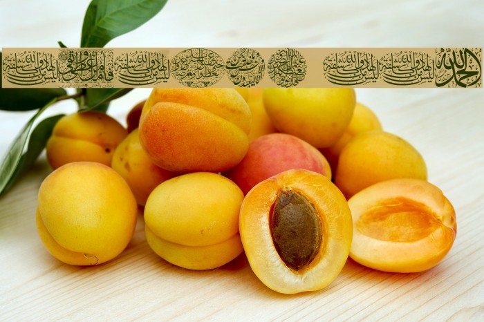 Aayat Quraan_036 Font examples