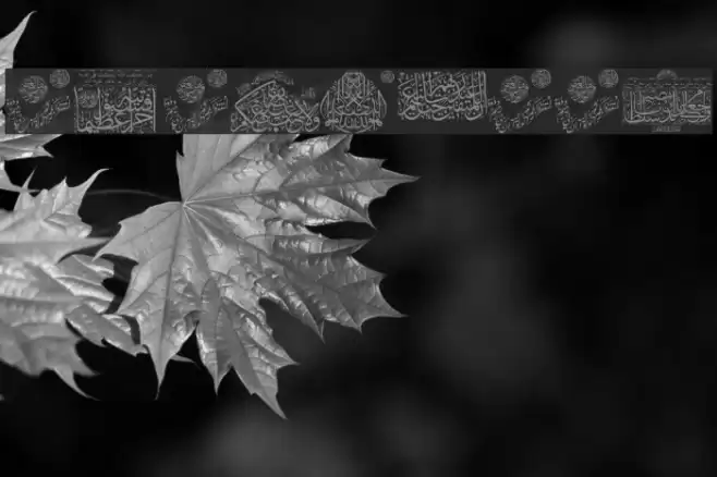 Aayat Quraan_039 Font examples