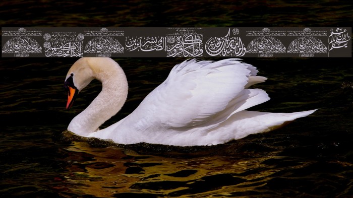 Aayat Quraan_041 Font examples