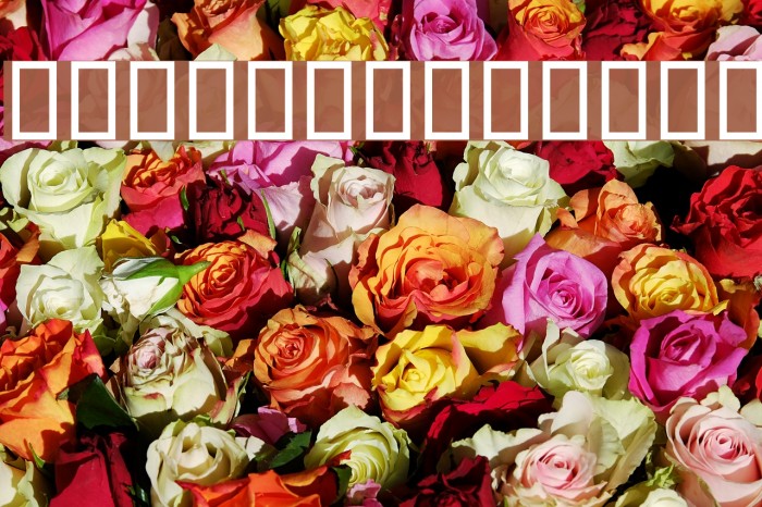 Aaylaar Font examples