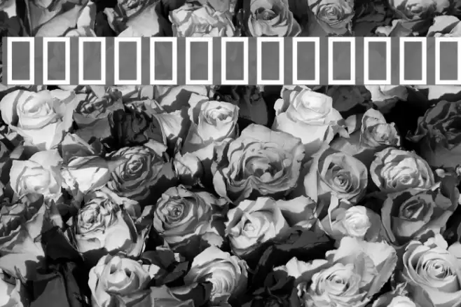 Aaylaar Font examples