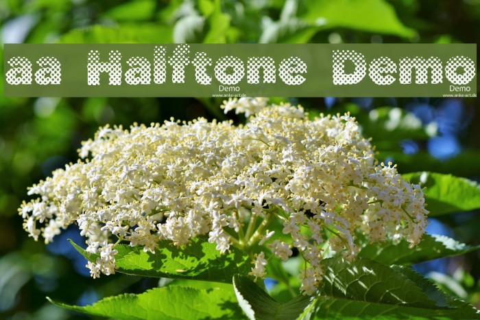 aa Halftone Demo Font examples