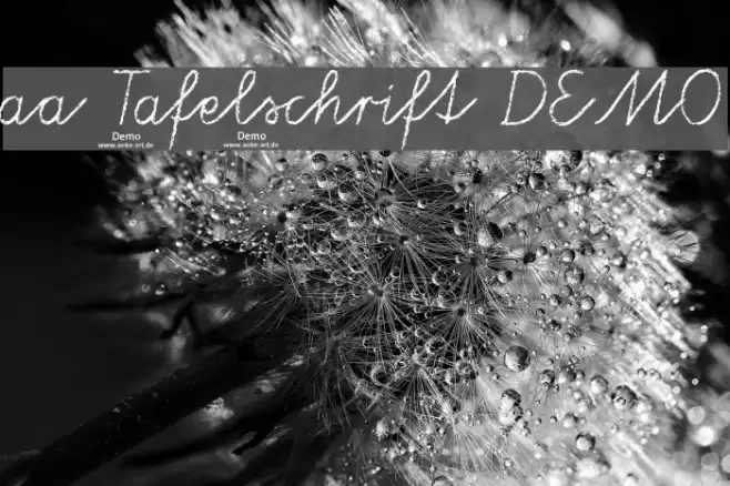 aa Tafelschrift DEMO Fonte examples