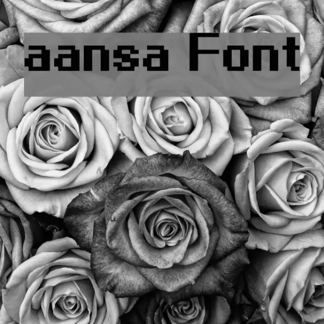 aansa Font examples