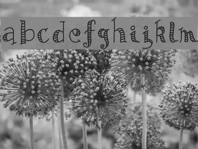 AB Exp Font examples