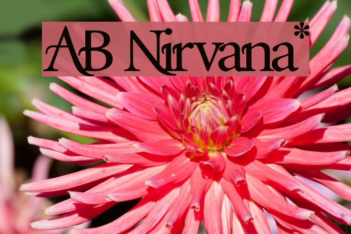 AB Nirvana* Font examples