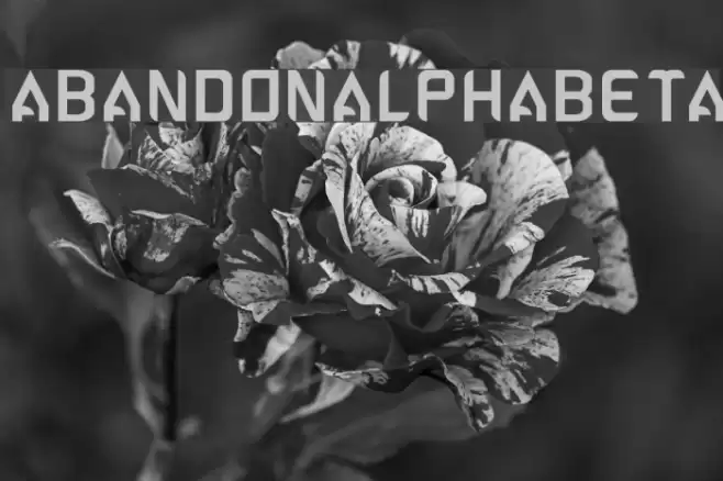 ABANDON-ALPHABETA Font examples