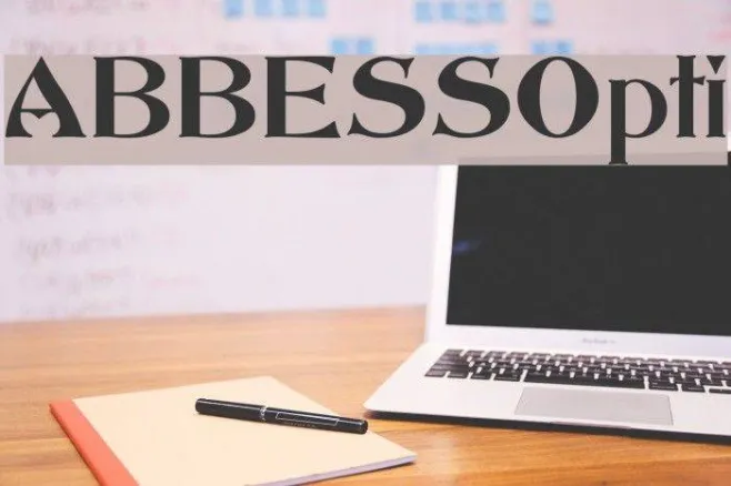 ABBESSOpti Example 1