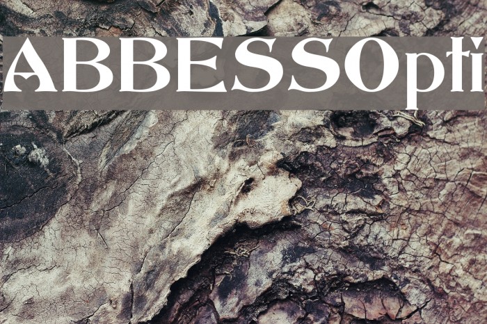 ABBESSOpti Font examples