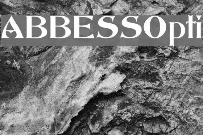 ABBESSOpti Example 2