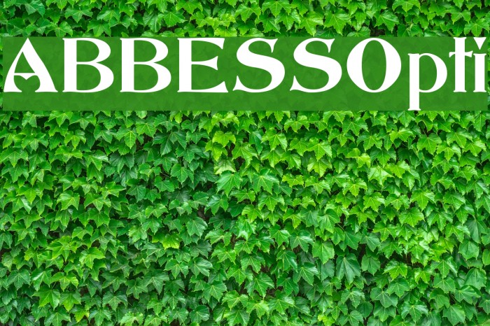 ABBESSOpti Font examples