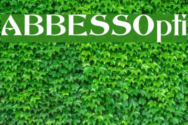 ABBESSOpti Example 3