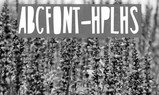 ABCFONT-HPLHS Fonte examples