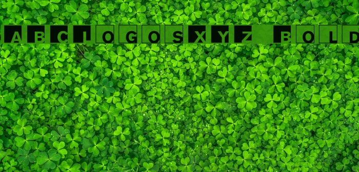 ABCLogosXYZ-Bold Font examples