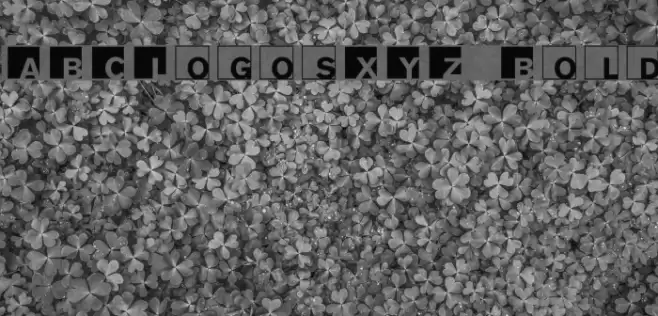 ABCLogosXYZ-Bold फ़ॉन्ट examples