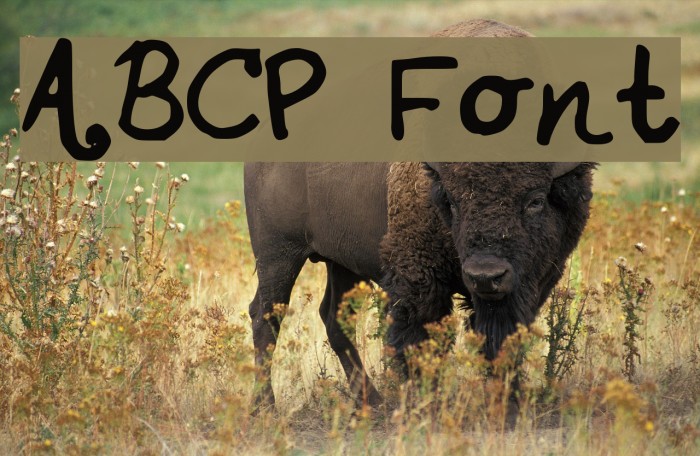 ABCP Font examples