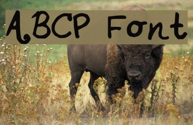 ABCP Example 2