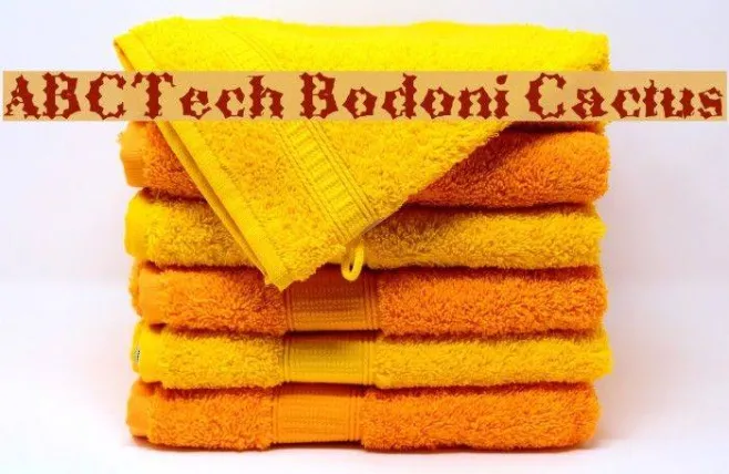 ABCTech Bodoni Cactus Example 2
