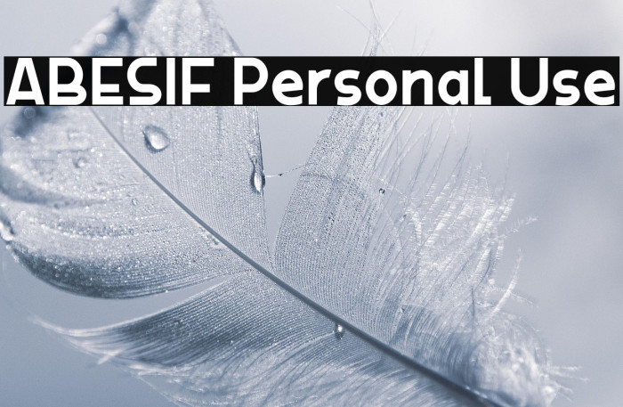 ABESIF Personal Use Example 2