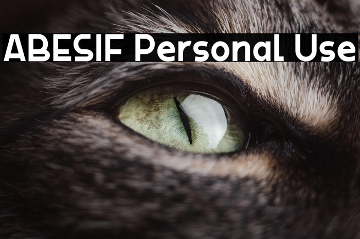 ABESIF Personal Use Example 3