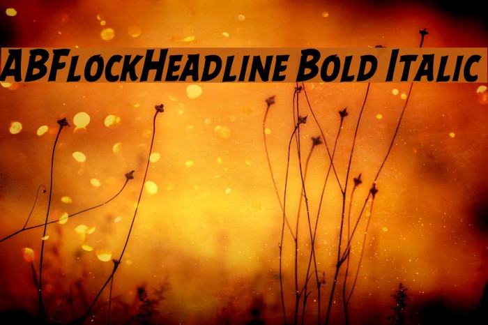 ABFlockHeadline Bold Italic Font examples