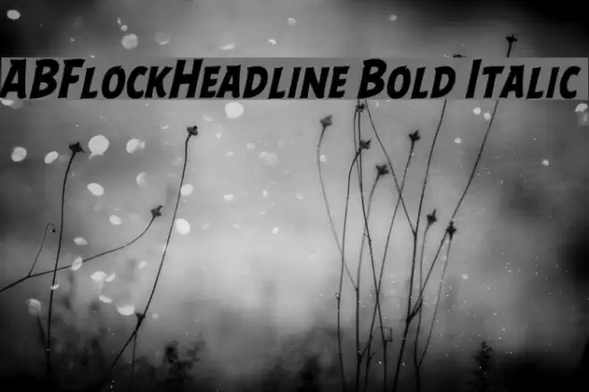 ABFlockHeadline Bold Italic  examples
