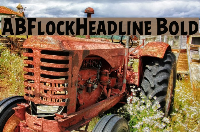 ABFlockHeadline Bold Font examples