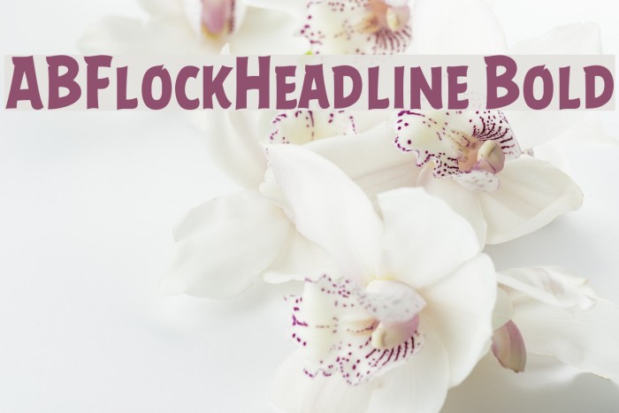 ABFlockHeadline Bold Font examples