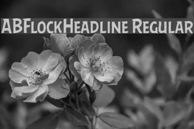 ABFlockHeadline Regular Font examples