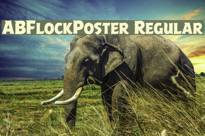ABFlockPoster Regular Font examples
