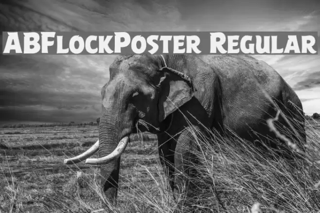 ABFlockPoster Regular Font examples